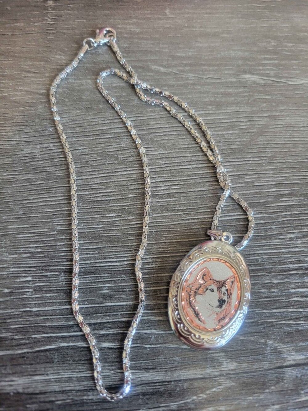 NO BRAND silver-tone husky locket and chain